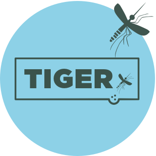 TIGER Webportal mit User Interface Design